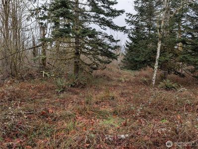 427 XX 156th Street SE, Gold Bar, WA, 98251