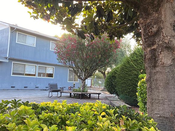 5th image of 556 Ely Blvd S