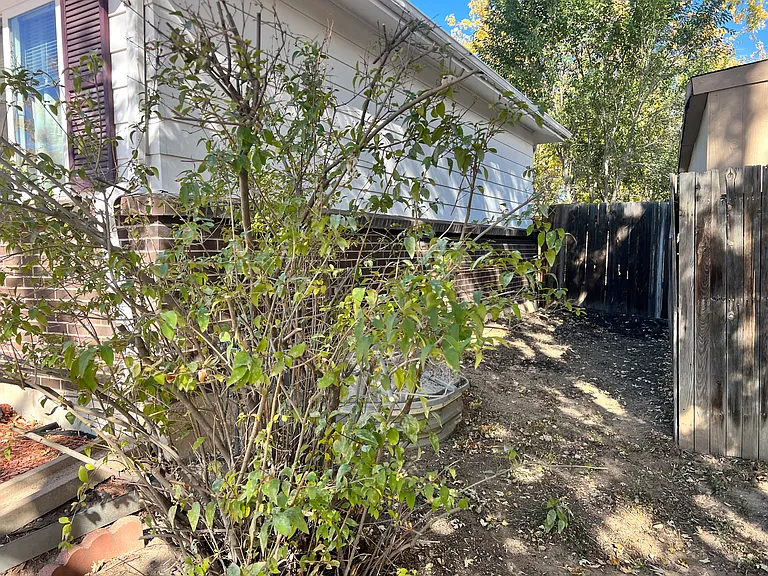 3111 W 95th Ave — Photo 21
