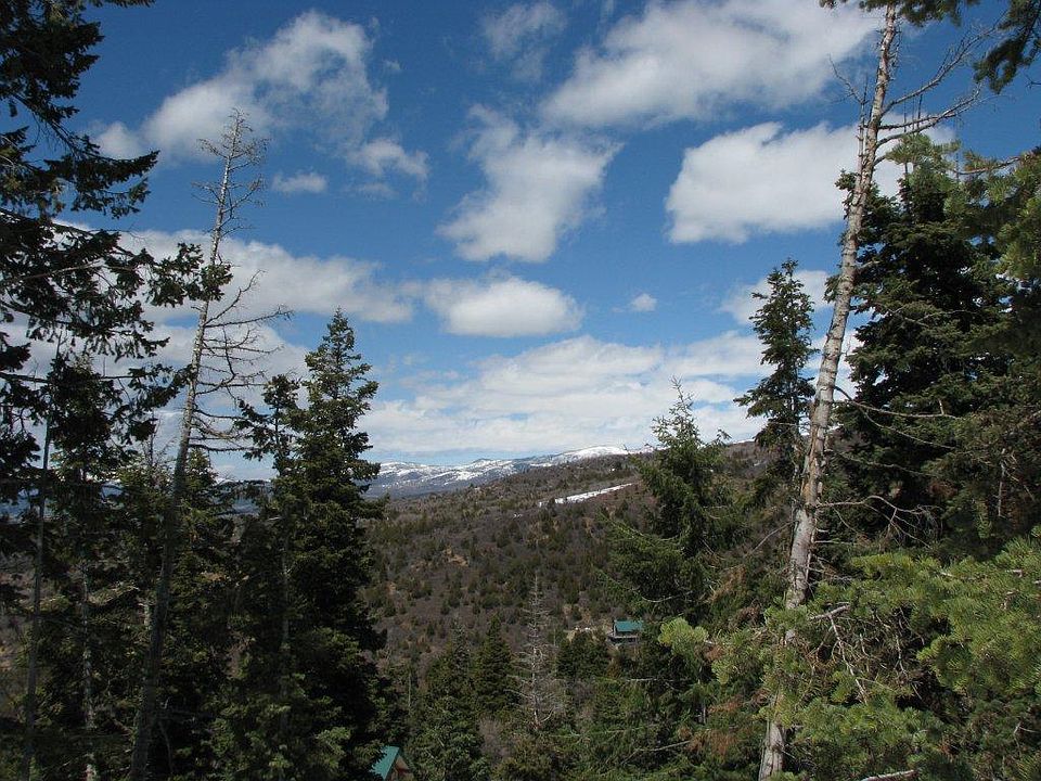 2nd image of 58 Acres Pine Creek Rnch