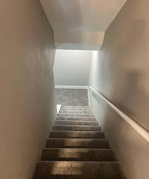 BASEMENT STAIRS.