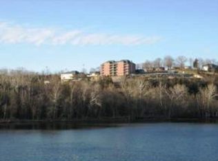 1413 Riverstone Dr, Branson, MO 65616