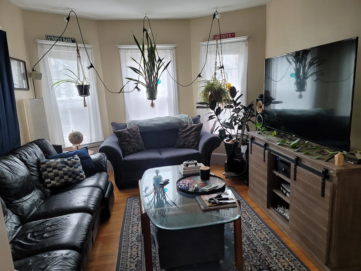 Living Room - 127 Hillsdale Rd #2