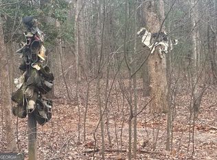 38 & 51 Mountain Crest Rd, Dawsonville, GA 30534