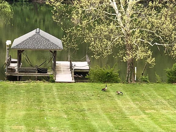 Rear yard and boat dock