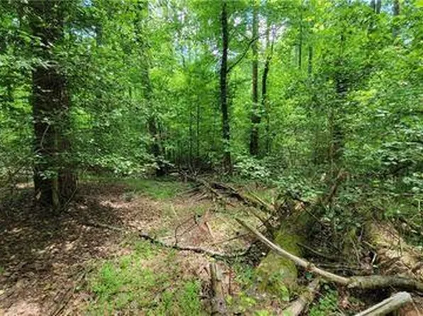 0 Muddy Rd, Cleveland, GA 30528