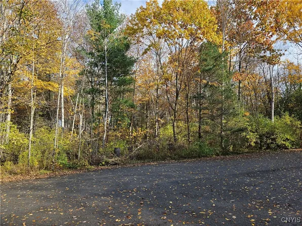 Birch Ln, Clayton, NY 13624