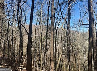 14 Butler Creek Rd, Cherry Log, GA 30522