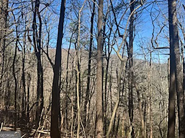 14 Butler Creek Rd, Cherry Log, GA 30522