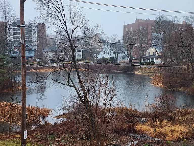45 Butler Rd #1 — Photo 6