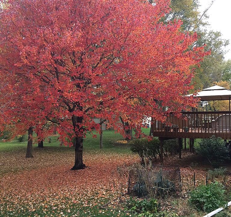 in the fall