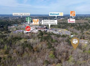 358 Blackwell Dairy Rd #0, Jasper, AL 35504