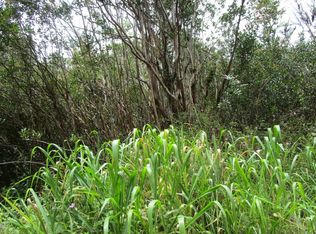 Uau Road Rd #5-LOT 3985, Mountain View, HI 96771