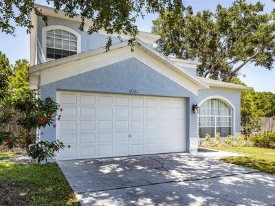 11321 Georgetown Cir, Tampa, FL, 33635