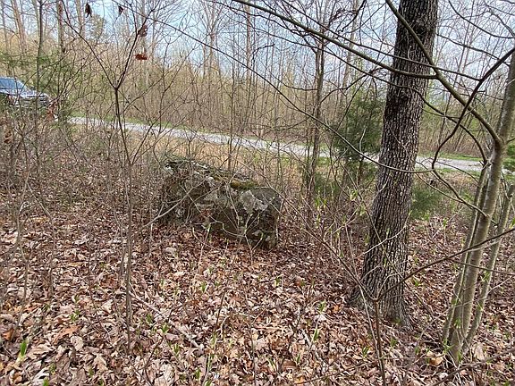 4th image of 5 Mountain Lake Dr Lot 5