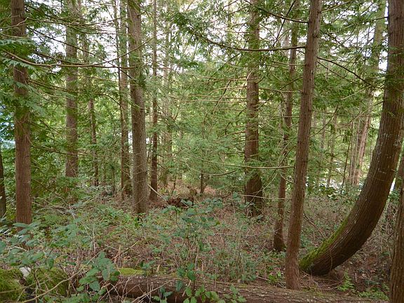 5th image of LOT 70 Merrill Rd