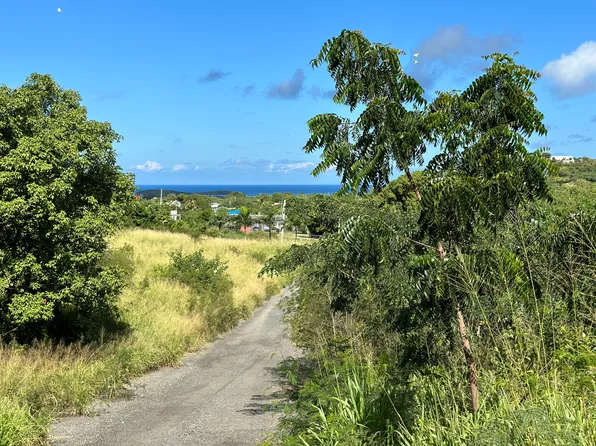 467 Union & Mt. Wash EA, St. Croix, VI 00820