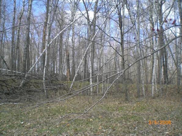 LOT 211 Catskill Cir, Pequot Lakes, MN 56472