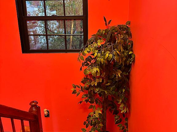 2nd image of 97 Tillinghast St Floor 2