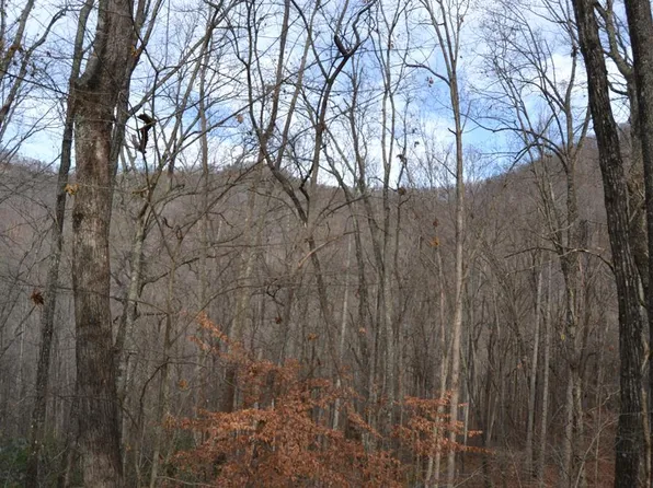 334 High Ridge Rd, Franklin, NC 28734