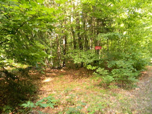 2nd image of 16827 County Road 414