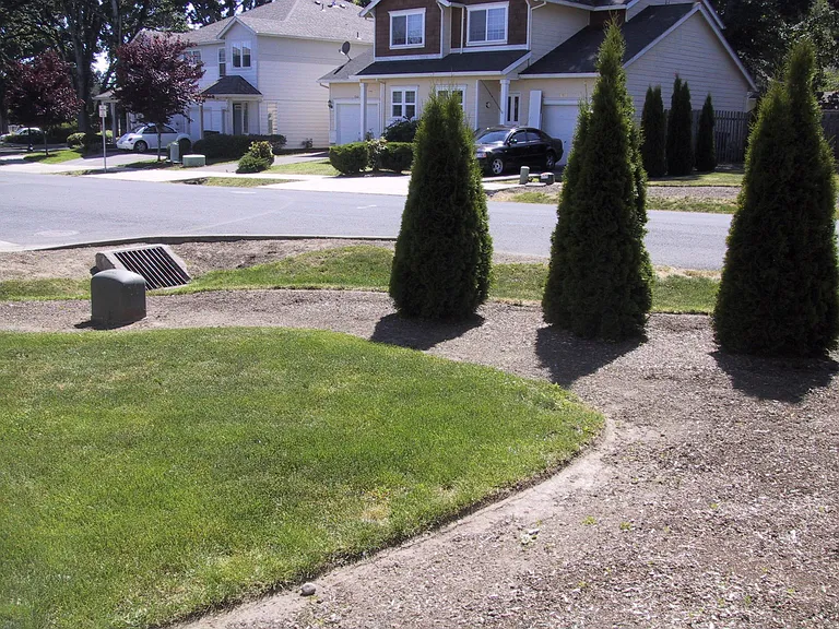 sideyard