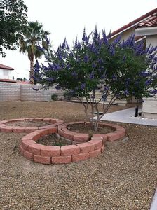 597 Coco Palms Ave, Las Vegas, NV, 89123