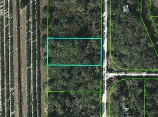 486 Kulwicki Dr, Venus, FL 33960
