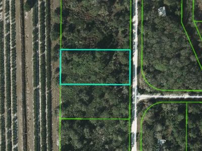 486 Kulwicki Dr, Venus, FL, 33960