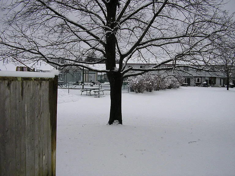 297 Stonebridge Dr #297 — Photo 17
