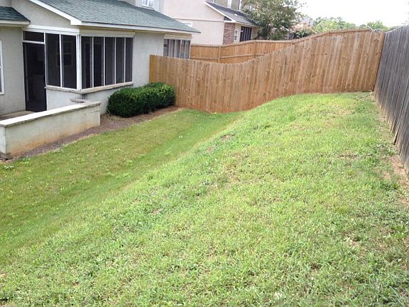 Back Yard
