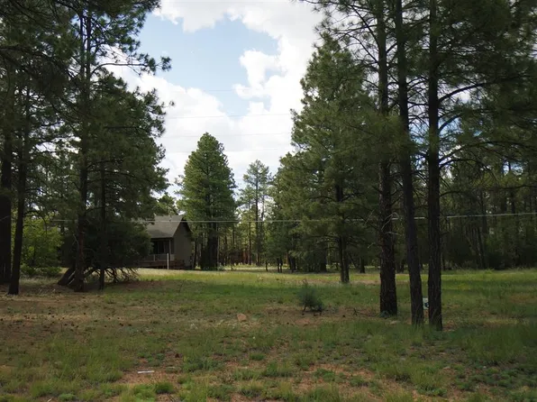 5004 Panorama Ct, Lakeside, AZ 85929