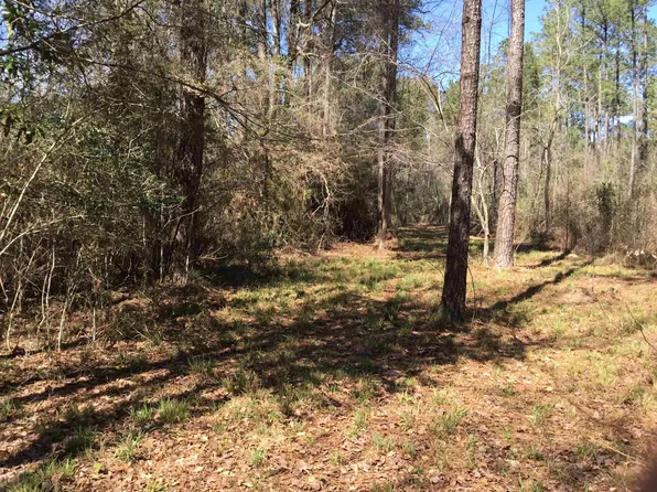 Buffalo Ln, Silsbee, TX 77656