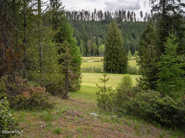 207 Long Dr Lot 4, Priest River, ID 83856