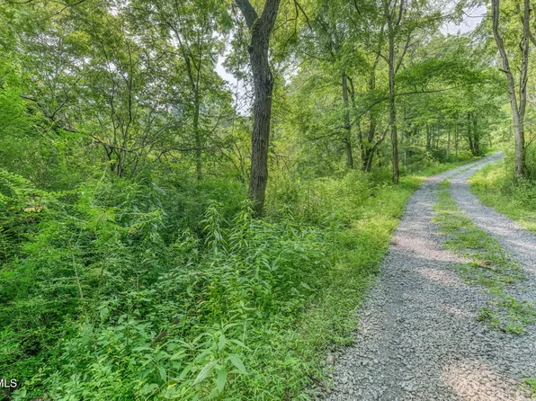 119 Alice Johnson Rd #119, Roan Mountain, TN 37687