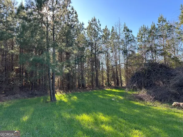 12 Mount Zion Rd, Gordon, AL 36343