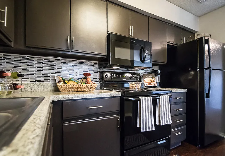 Contemporary Apartment Home
