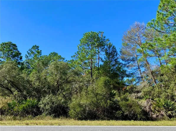 LOT 7 Red Gum Ct Lot 7, Eustis, FL 32736