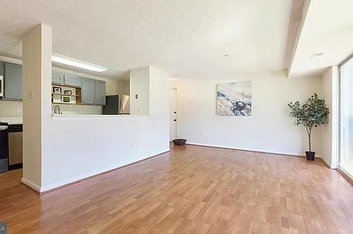 503 Palmtree Dr Photo 1