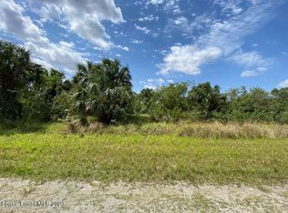 773 Parrotfish St SW, Palm Bay, FL 32908
