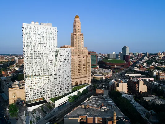 Rented by Two Trees | media 53