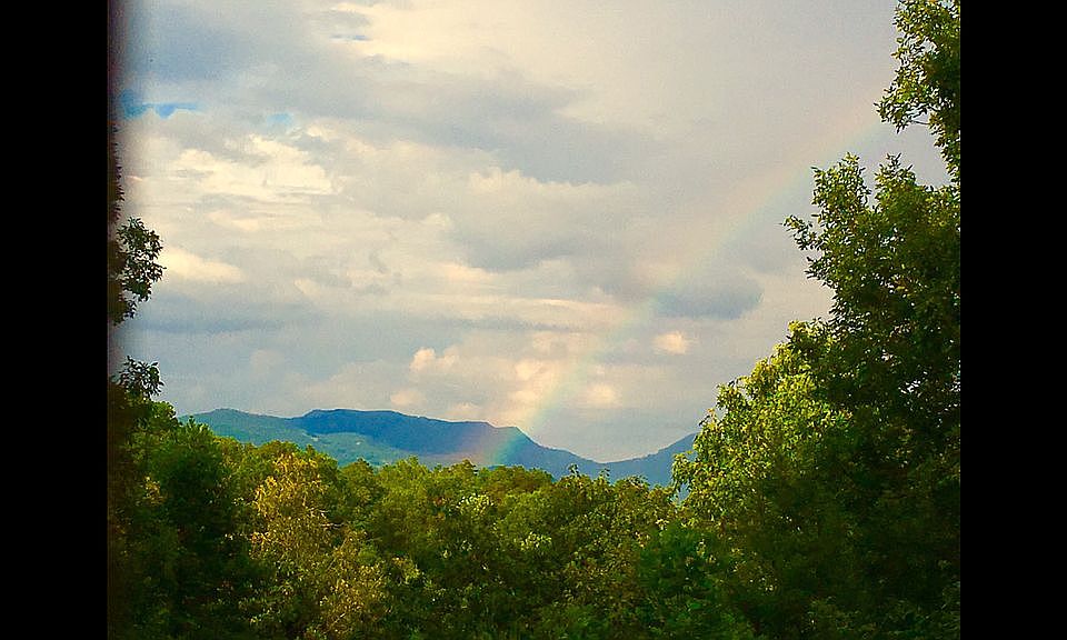 1555 Deer Browse Way, Sevierville, TN 37876 Zillow