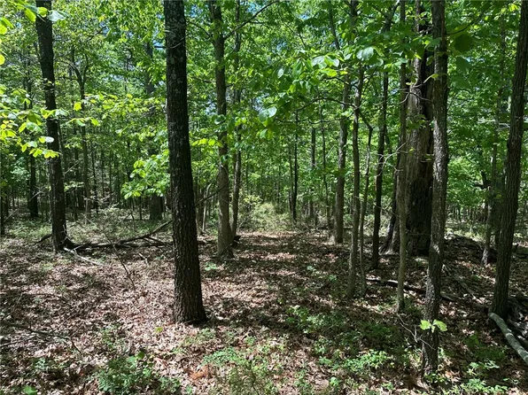 Lakeside Dr, Rogers, AR 72756