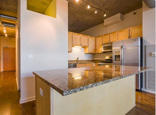 700 N Larrabee St #1704 — Photo 12