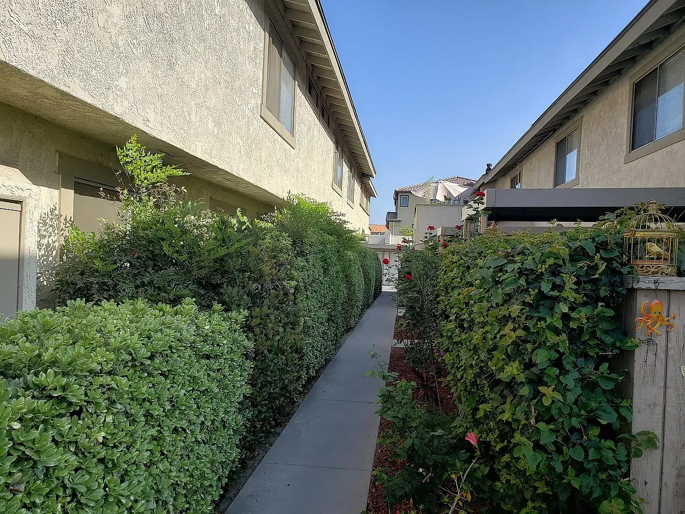 3 bed, 1650 sqft, $3,320 — Photo 3