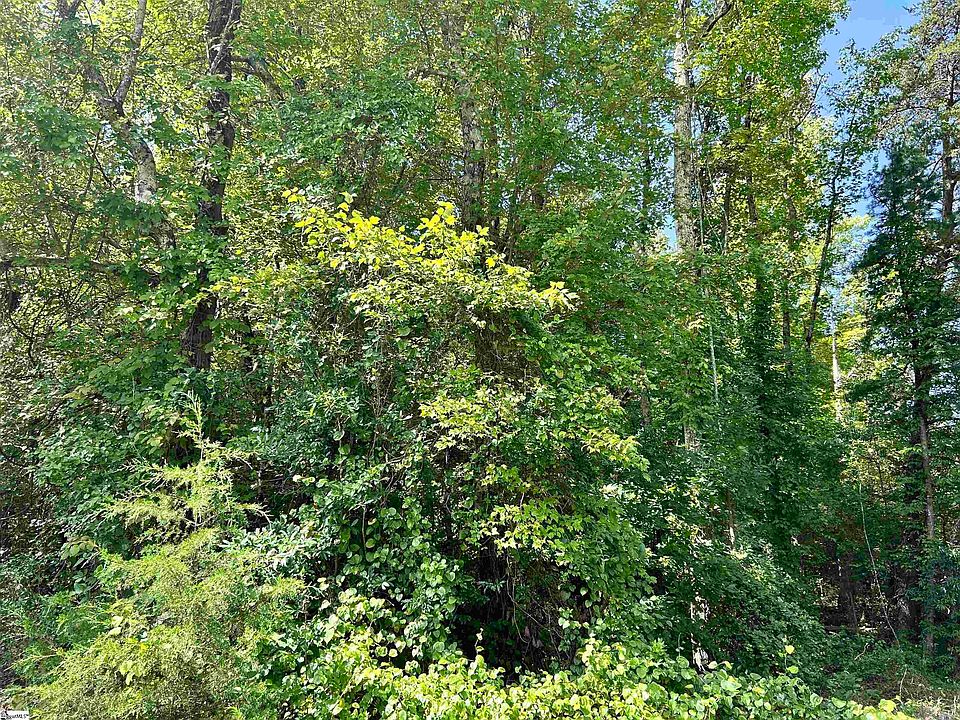 2nd image of 187 Hawkins Rd