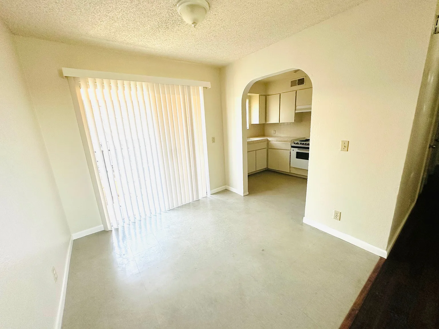 Shields - 2029 (6U) - 202 — Photo 3