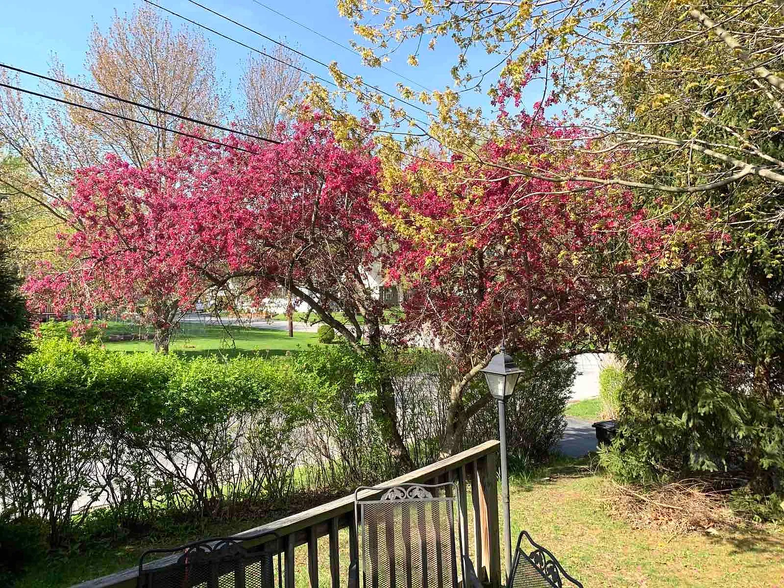 3 bed, 1700 sqft, $2,400 — Photo 4