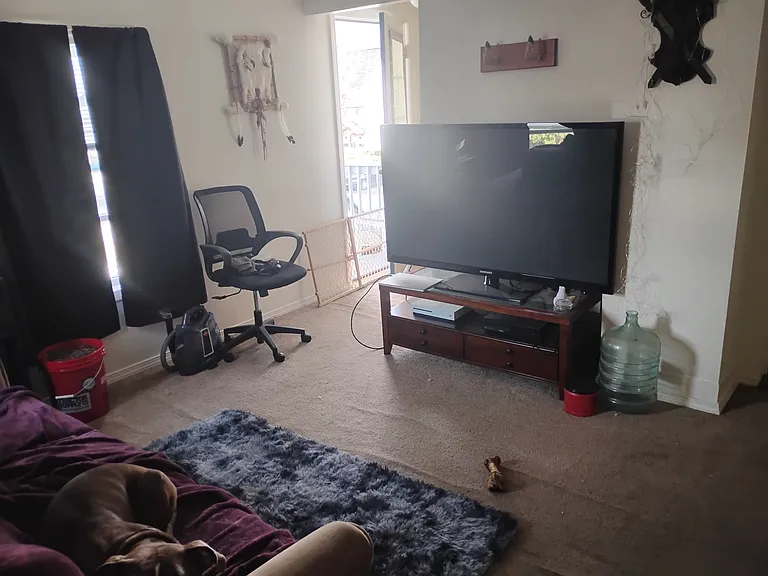 Shared living room