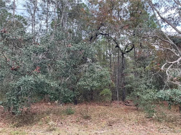 1765 W Redding St, Hernando, FL 34442